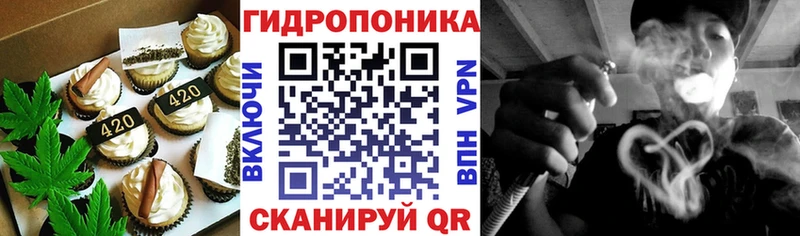 Купить закладки  Полярный  Canna-Cookies конопля 