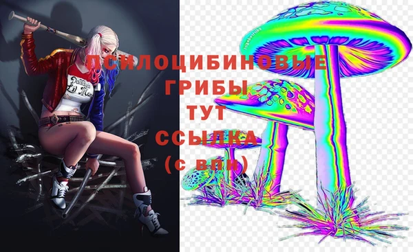 СК Балабаново